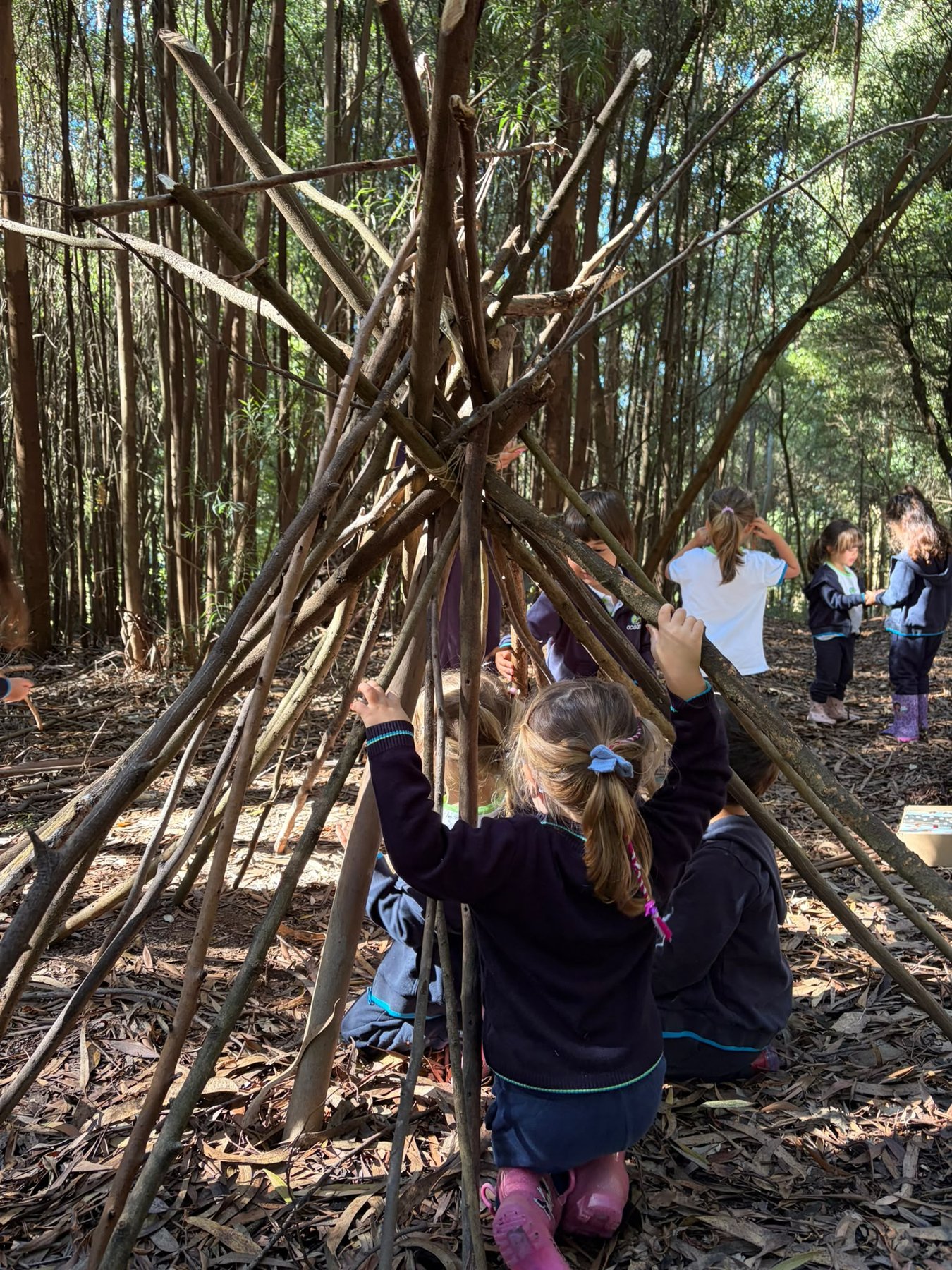 Crianças a construir uma cabana de paus na floresta, uma delas a segurar a estrutura